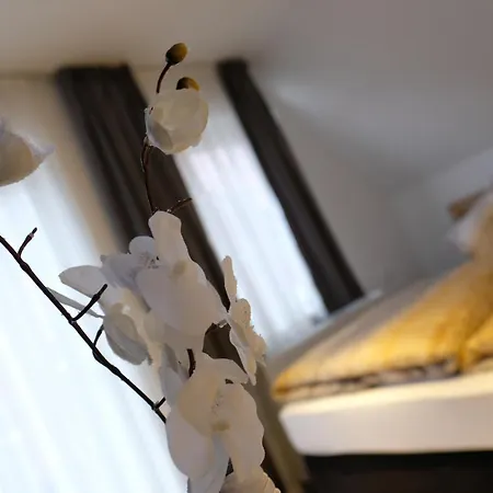 Schlafstuebchen 리어